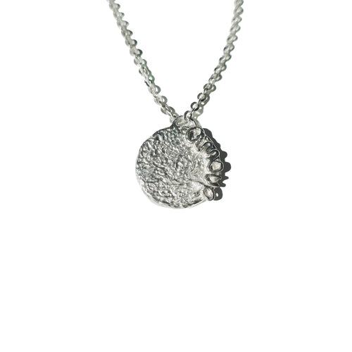 Silver necklace with a textured pendant on a white background


